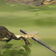 Image for article titled My Journey To Photograph All The Wildlife In The Division 2